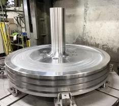 Kaplan runner servomotor piston